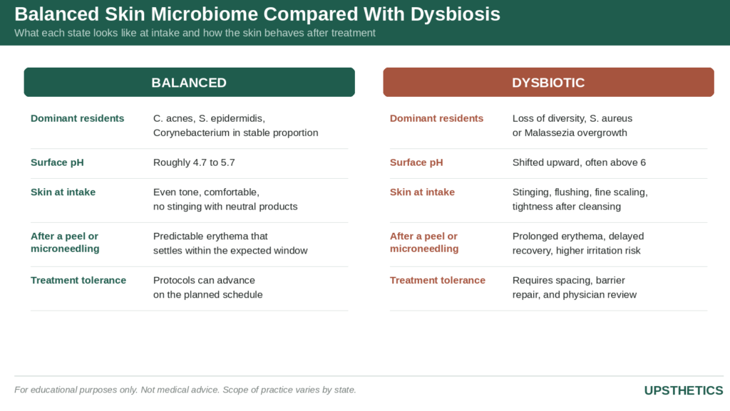 Infographic on the skin microbiome and why some patients tolerate treatments poorly