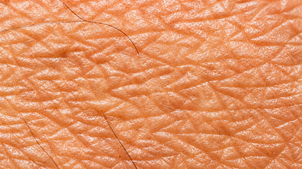 Close-up of skin texture showing fine lines
