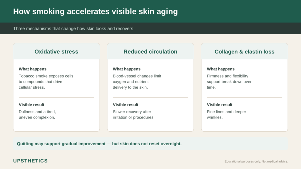Infographic of how smoking accelerates visible skin aging